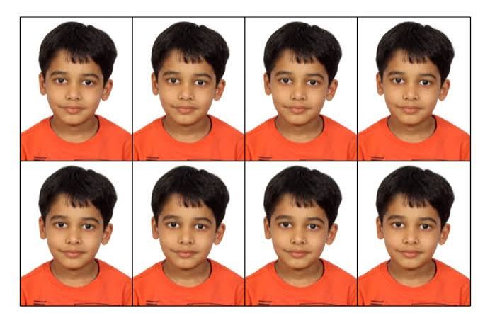 100 Passport Size Photo Prints (Set)